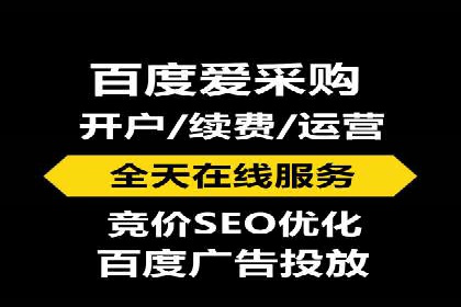 百度搜索引擎优化推广：成功案例揭秘